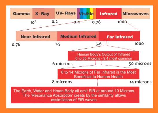 What Are Far Infrared Rays (FIR)? - Vitality Depot